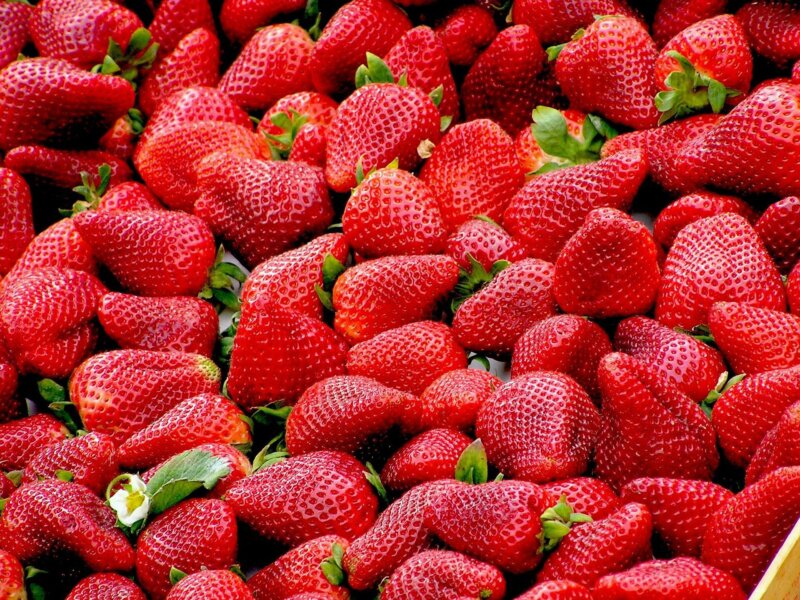 Medidas de urgencia después de conocerse que un lote de fresas procedentes de Marruecos se encontraba contaminado con hepatitis A