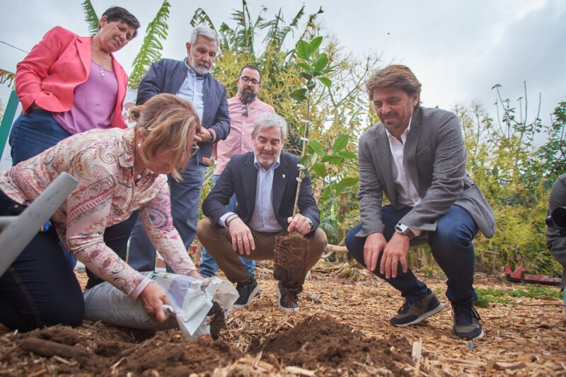 El presidente de Canarias junto a la de Asaga y Ashotel plantan un limonero y lo abonan con compost de biorresiduos hoteleros. Foto ASHOTEL