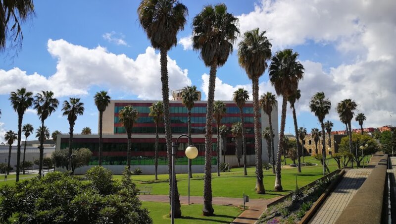 Plazas de profesor en Canarias
