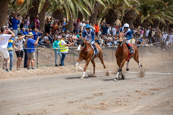 La carrera de caballos contó con una veintena de ejemplares pertenecientes a 18 cuadras de Tenerife y Gran Canaria