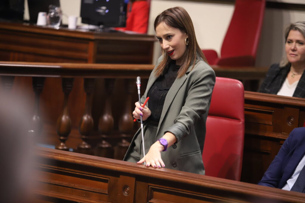 Advertencia del PSOE sobre la Ley de Memoria Democrática. Imagen: La diputada del Grupo Socialista en el Parlamento de Canarias, Nira Fierro.  PSOE Canarias