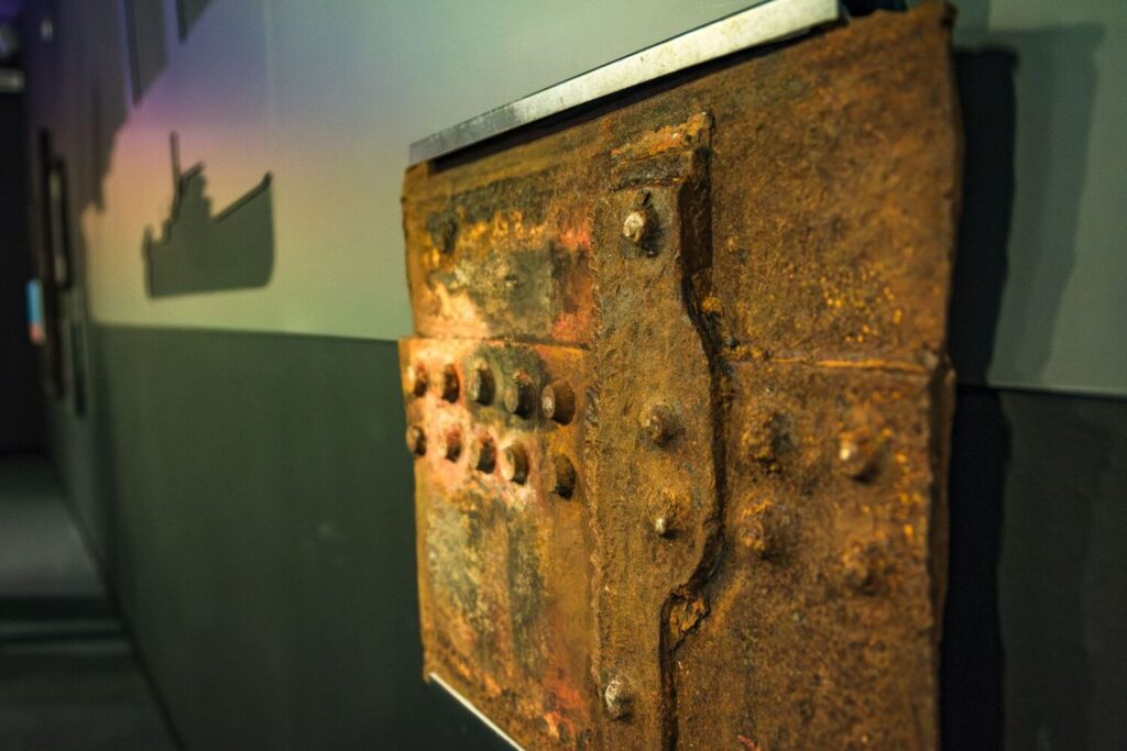 Detalle de la exposición dedicada al Correíllo La Palma en el Museo de la Naturaleza y la Arqueología de Tenerife / Cabildo de Tenerife