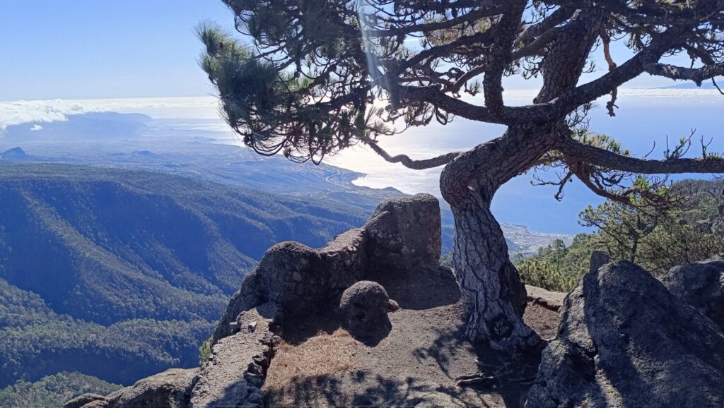 Se espera un cambio de tiempo para el jueves. Imagen cedida por Abel Neo. @Caminos_Tierra (Tenerife)