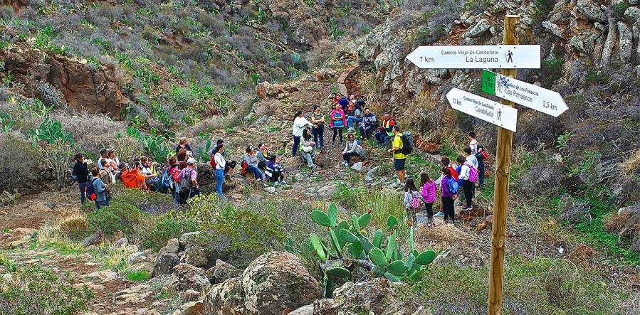 El Ayuntamiento de Candelaria, con motivo del Día Mundial del Medio Ambiente y del Día Mundial de los Océanos