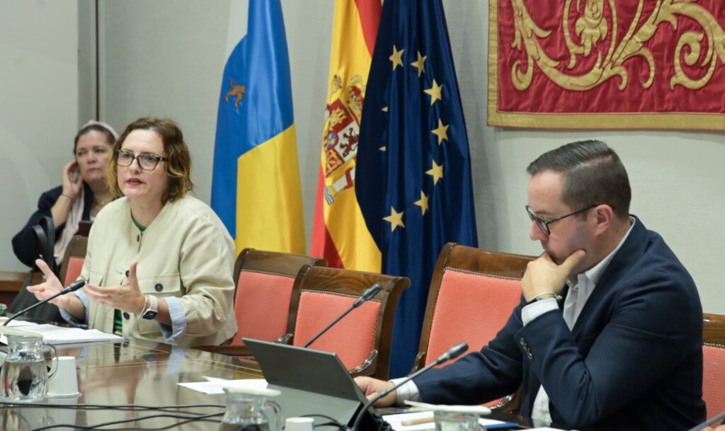 a consejera de Bienestar Social, Candelaria Delgado, ha presentado ante comisión parlamentaria los progresos en la Estrategia para la Coordinación de la Atención Sociosanitaria