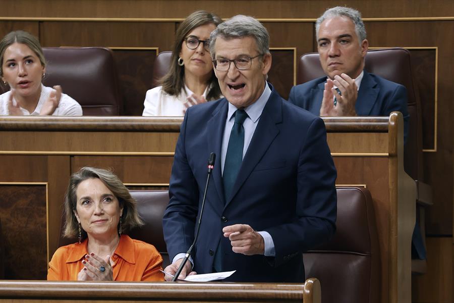 Alberto Núñez Feijóo, lider del PP, en el Congreso. Imagen EFE