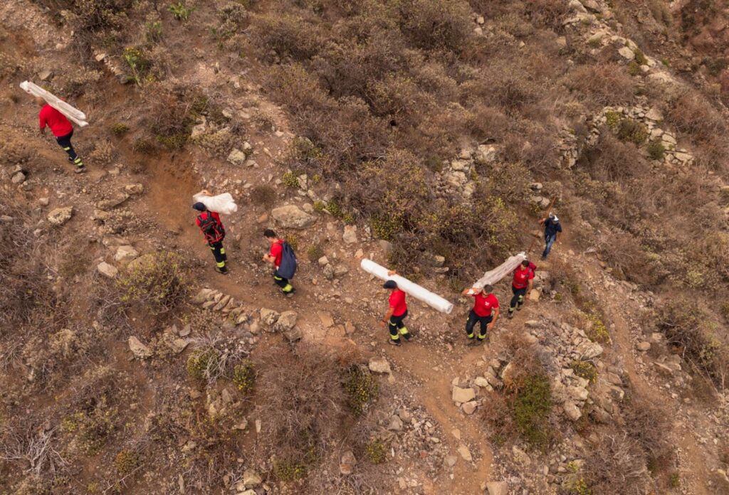 Transporte de los bienes de la Hacienda de Las Palmas de Anaga 