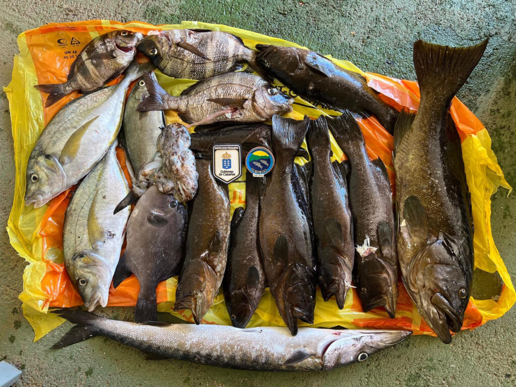 Pescado incautado El Hierro