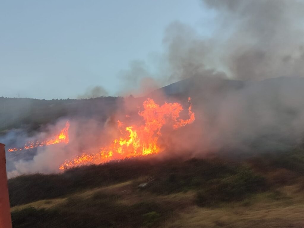 Conato de incendio forestal Los Realejos