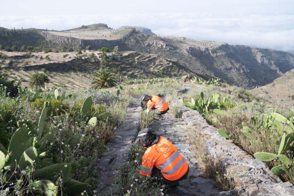 La Gomera invierte 3 millones de euros en la recuperación de su entorno natural