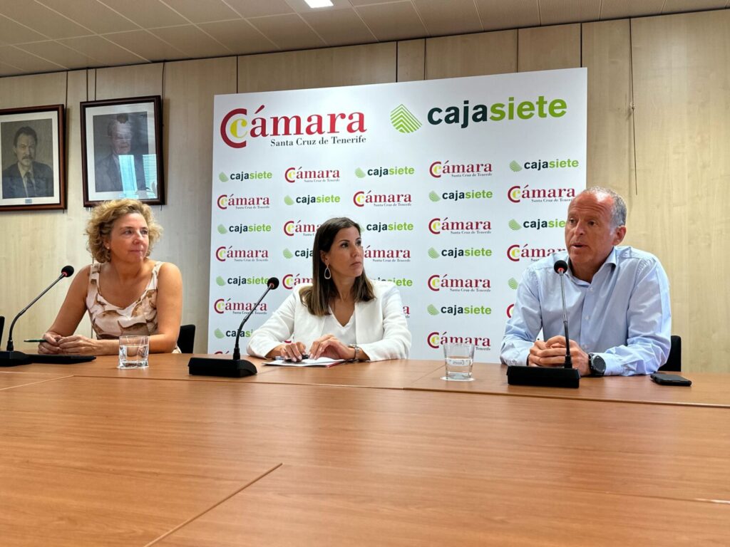 El comercio canario sigue batiendo récords de venta y empleo

Imagen de la rueda de prensa en la Cámara de Comercio de Santa Cruz de Tenerife 