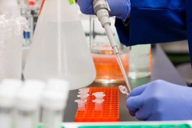 Revelan que los humanos cuentan con pocas barreras para los virus animales