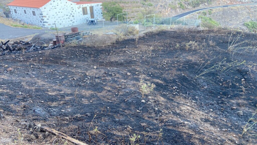 Extinto un conato en Apartaderos, La Gomera