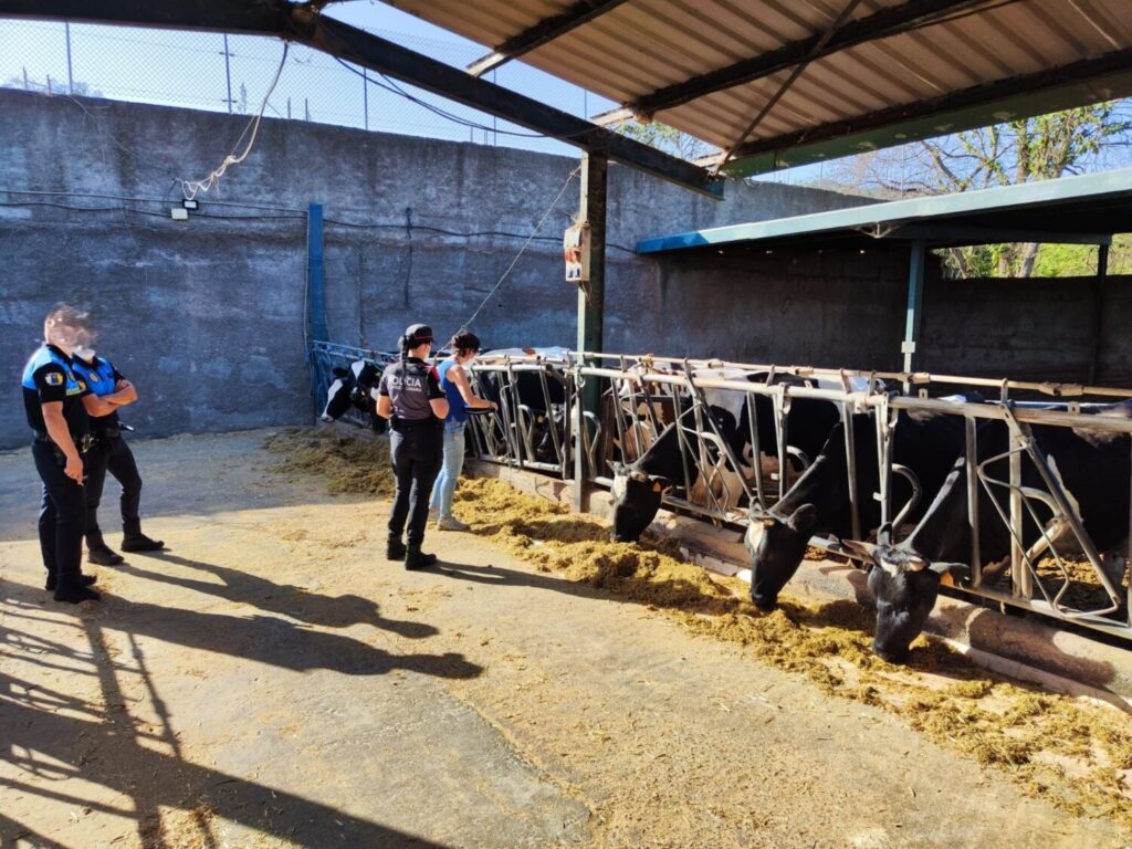 Localizan una granja al norte de Tenerife con gran cantidad de cadáveres de cabras y vacas