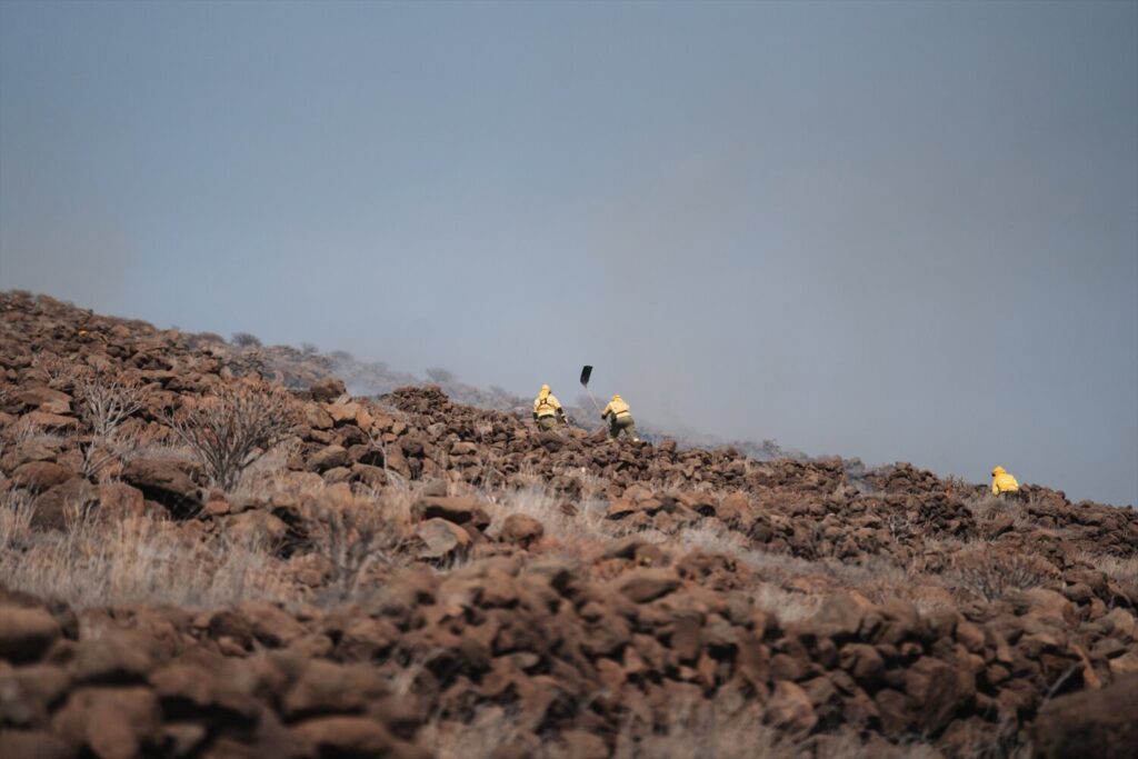 Conato de incendio en La Gomera. Fuente: EuropaPRESS