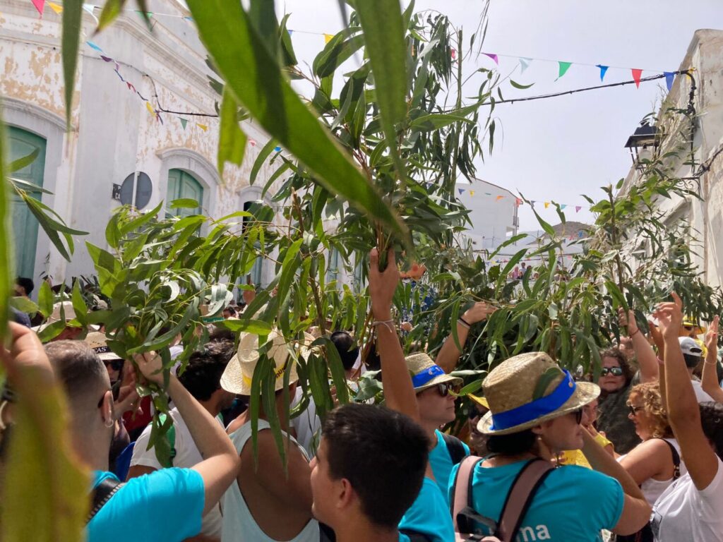 Celebración de la Rama de Agaete 2024