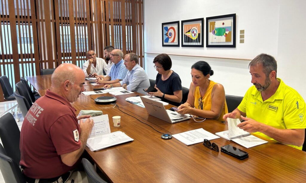 Reunión del Peinpal. Imagen Cabildo de La Palma