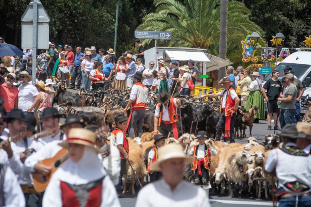 Imagen de la Romería de La Esperanza 2024. Foto cedida Ayuntamiento de El Rosario