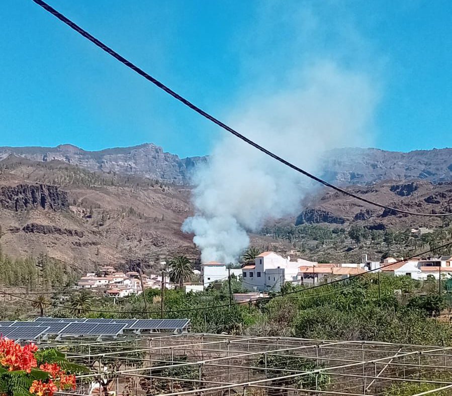 Incendio en el Palmeral de Fataga, en Gran Canaria