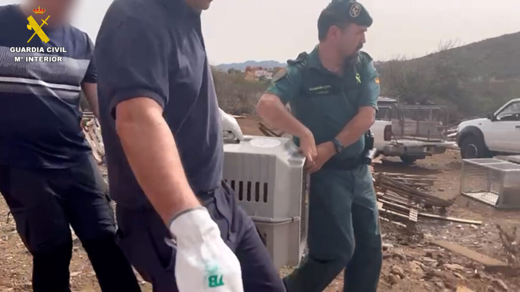 La Guardia Civil investiga a una mujer acusada de un delito continuado de maltrato de animales. Imagen cedida Guardia Civil