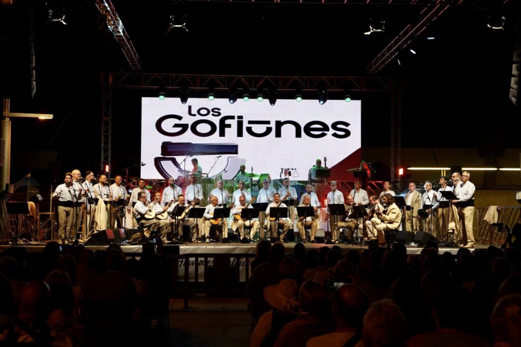 Actuación de Los Gofiones. Imagen Ayuntamiento de Arona