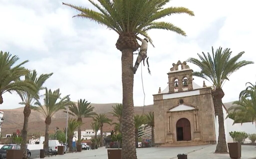 Hernita de Virgen de la Peña, en Fuerteventura. RTVC