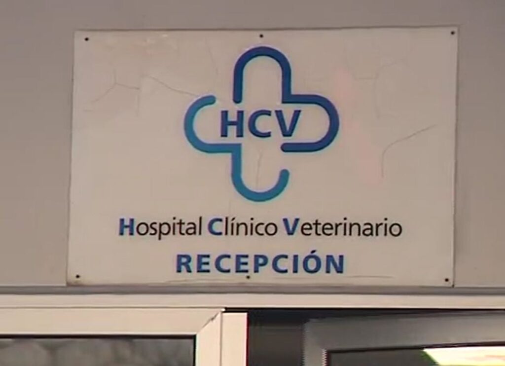 Hospital Clínico Veterinario ULPGC