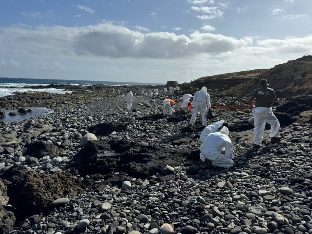 Operarios de Gesplan limpian la playa teldense de La Restinga. Foto: Aday Domínguez | Redactor de los Servicios Informativos de Televisión Canaria