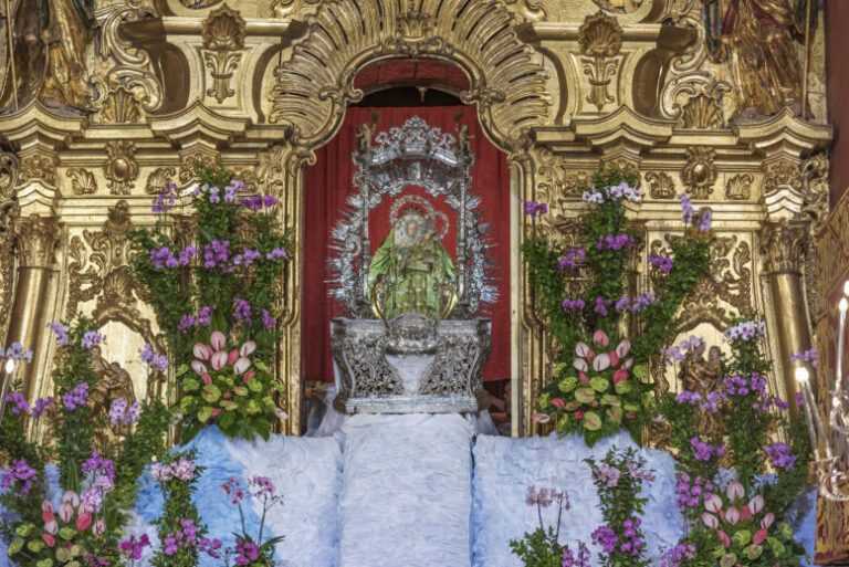 La Virgen del Pino baja desde su Camarín