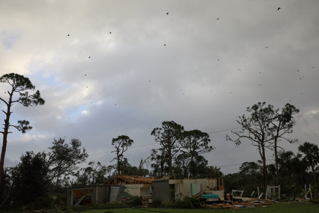 Pájaros sobrevolando los restos de un edificio en Lakewood Park, Florida.