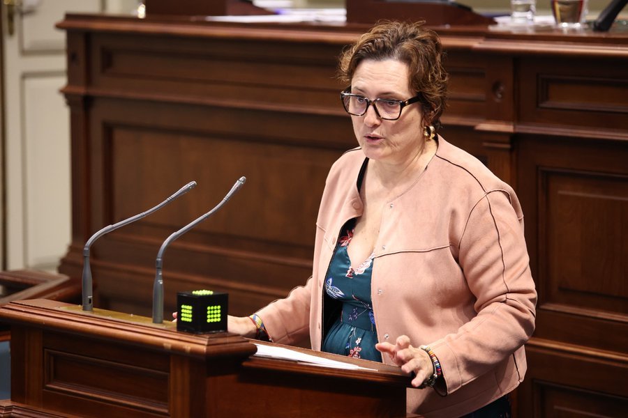 La consejera de Bienestar Social, Igualdad y Familia, Candelaria Delgado, en el pleno del Parlamento. Imagen Gobierno de Canarias