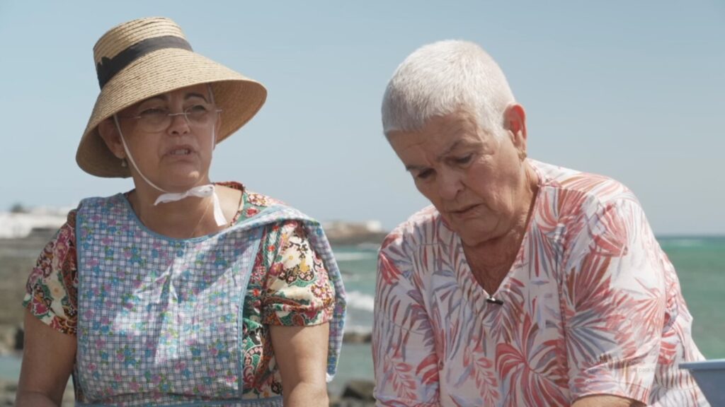 'Noveleros' en la mar salada