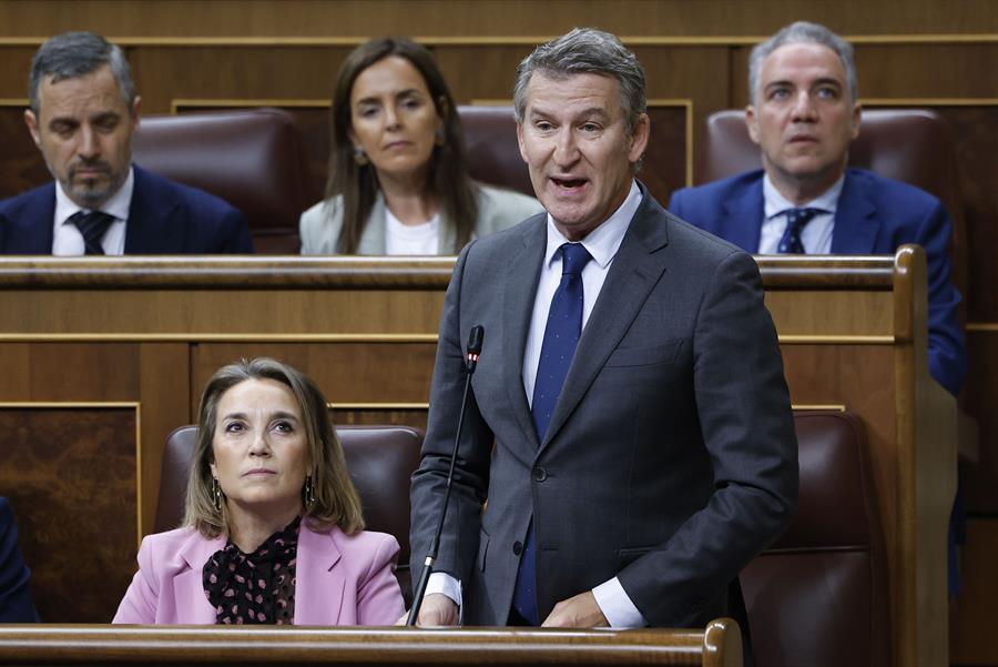 Alberto Núñez Feijóo en la sesión de control del Congreso. Imagen EFE