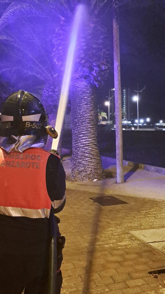 Bomberos de Lanzarote apagando el incendio de una palmera en Arrecife