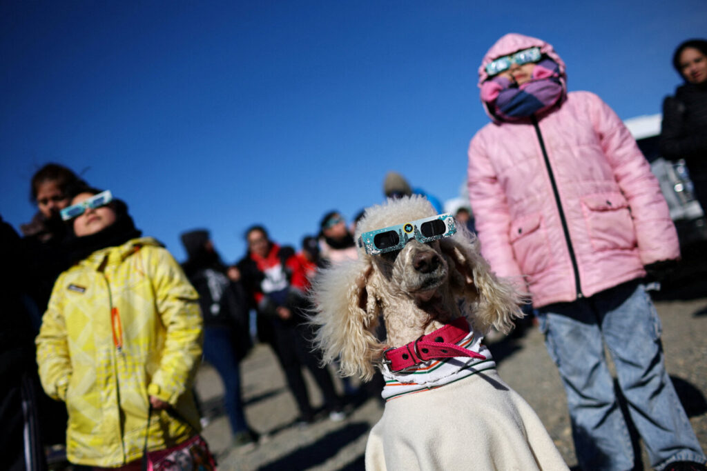 En Argentina se ha producido mucha expectación para ver el eclipse solar, hasta un perro ha usado gas en Las Horquetas, Santa Cruz, Argentina / REUTERS/Agustin Marcarian 