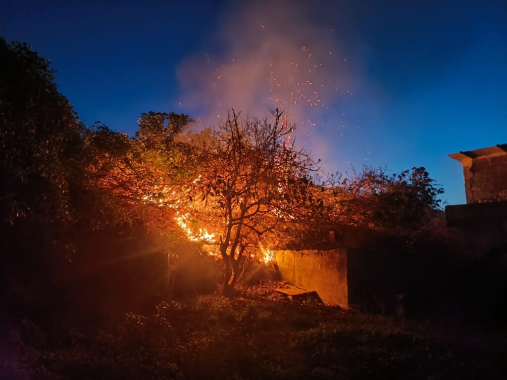 Conato de incendio en Icod El Alto. Imágenes del conato de incendio