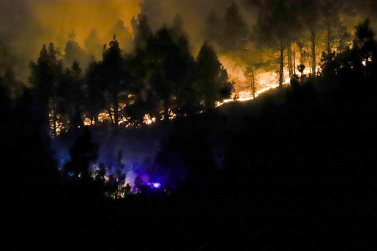 Galería de imágenes del incendio forestal de La Palma