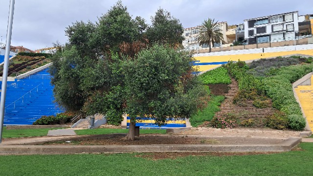 Parque del Estadio Insular. Imagen cedida por Ecologistas en Acción