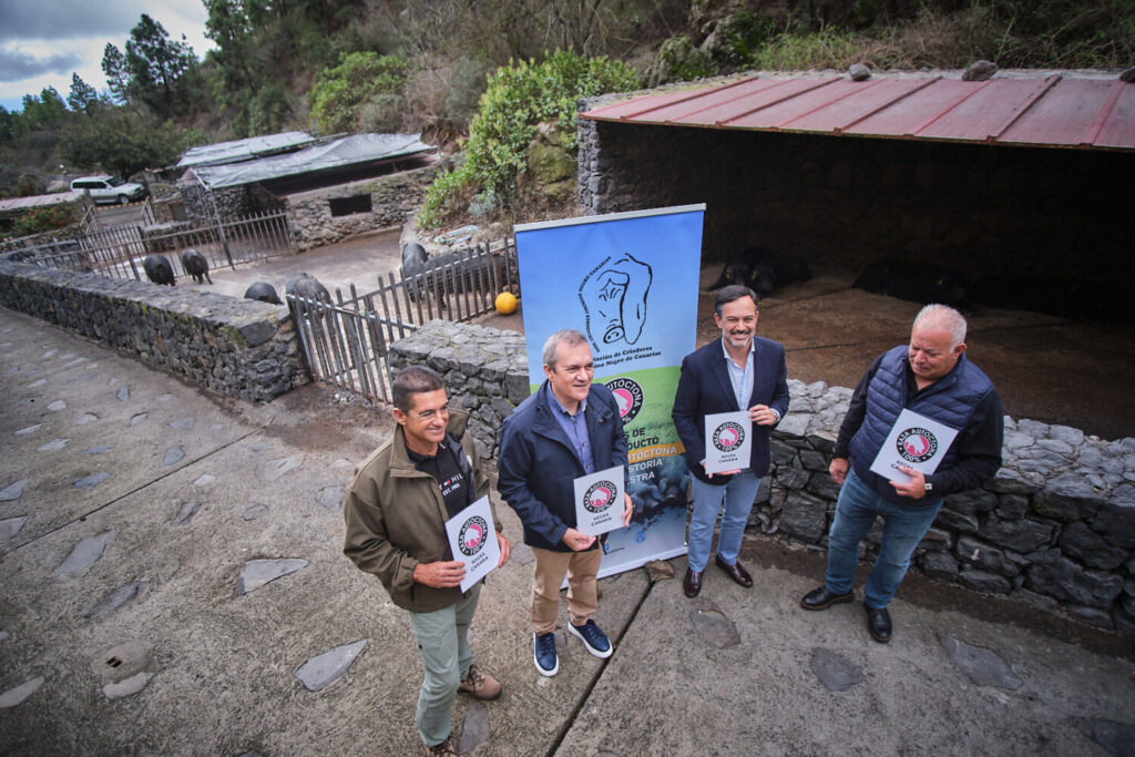 El Cochino Negro Canario, raza autóctona. Presentación de la Marca Cochino Negro Canario en Tenerife/ Cabildo de Tenerife.