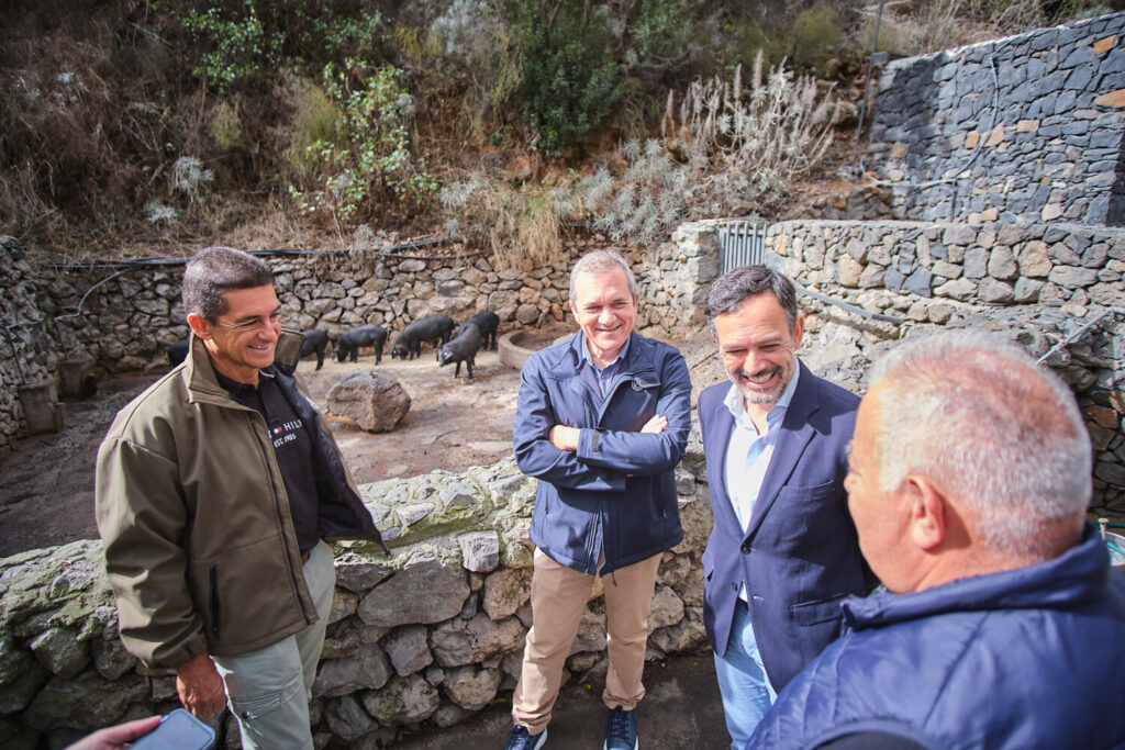 El Cochino Negro Canario, raza autóctona. Presentación de la Marca Cochino Negro Canario en Tenerife/ Cabildo de Tenerife.