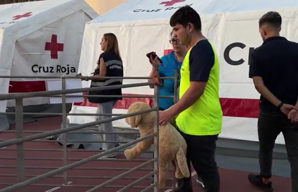 Simulacro de rescate de un perro durante una emergencia