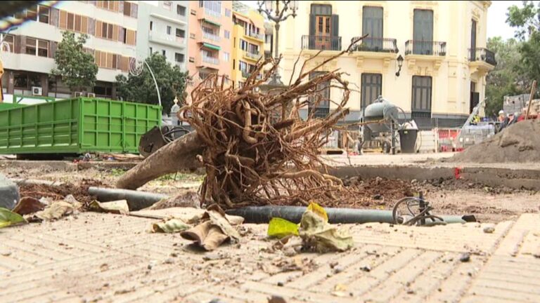 Protestan por la tala de árboles en Santa Cruz de Tenerife