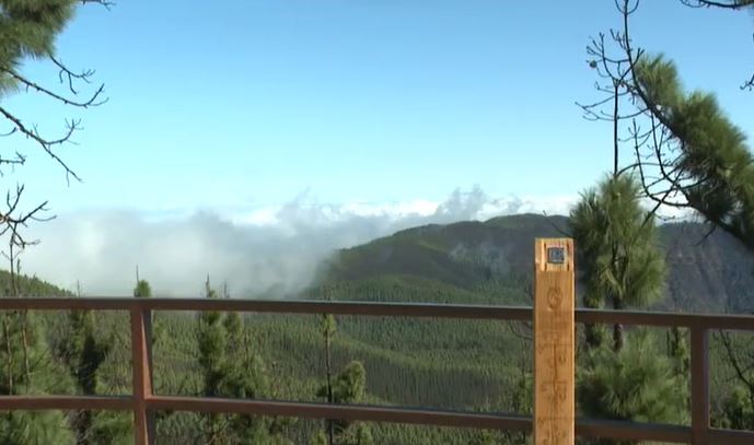 Uno de los totems colocados por la asociación Fénix Canarias