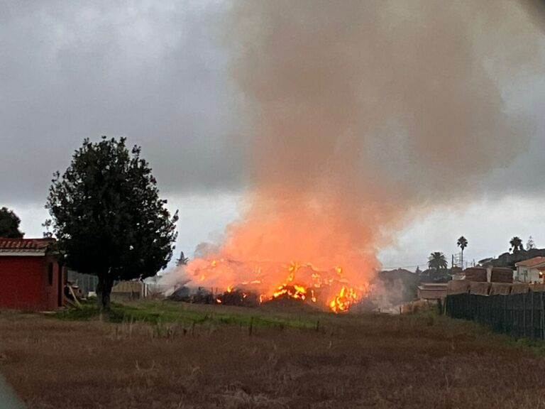 Controlado el incendio en una granja de Tenerife que obligó a desalojar al personal de un colegio