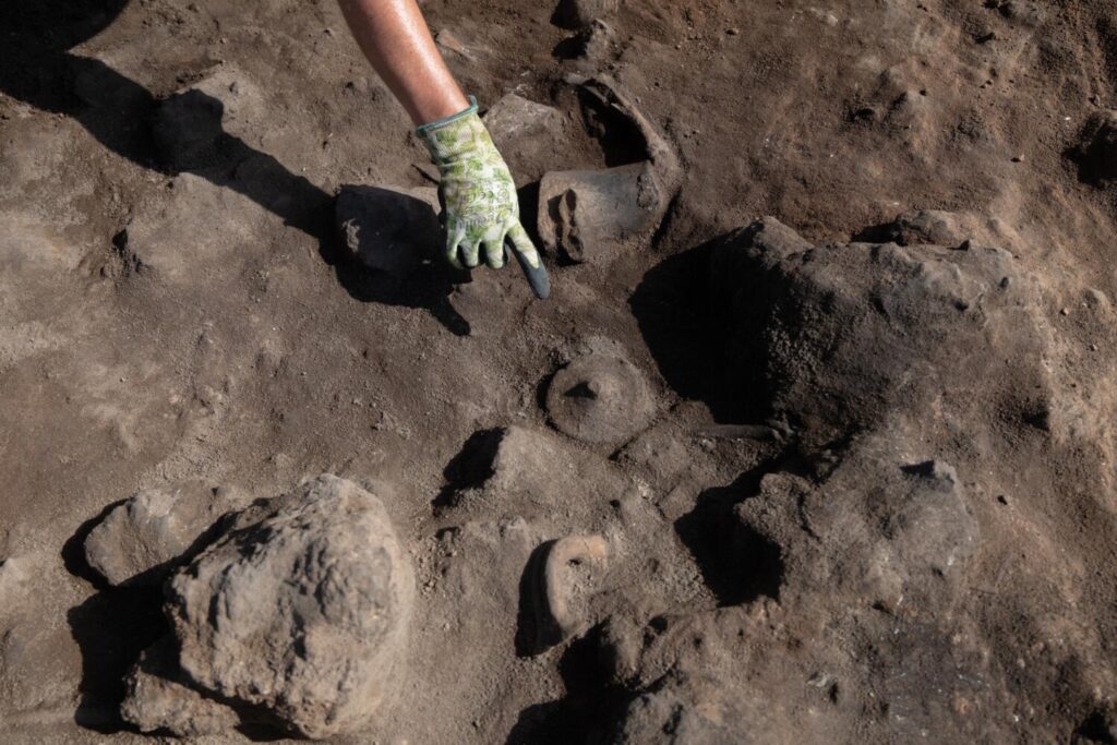 Se descubren nuevas evidencias de ocupación romana en la isla de Lobos. ISLOTE DE LOBOS (FUERTEVENTURA) -Vista de los trabajos que se están realizando en al yacimiento arqueológico romano del islote de Lobos, en Fuerteventura. En la foto. restos de cerámica en proceso de ser extraídos. EFE/Carlos de Saá.