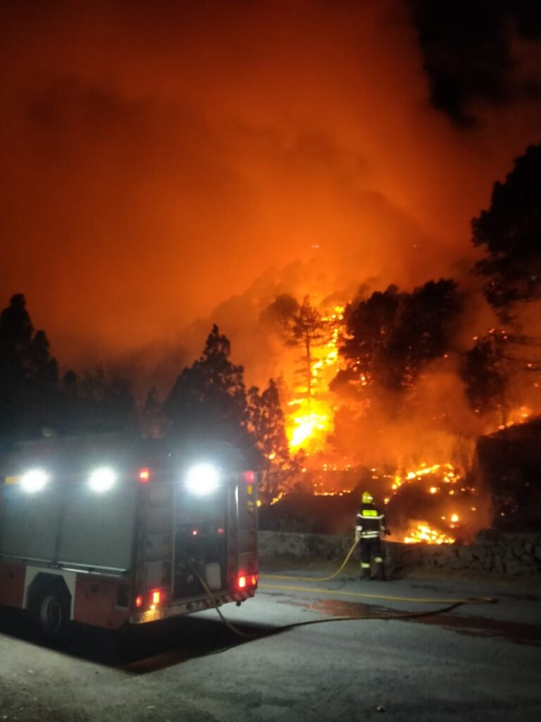 Bomberos actuando en la zona en la que se ha registrado el conato en La Palma / Carlo Brusini 