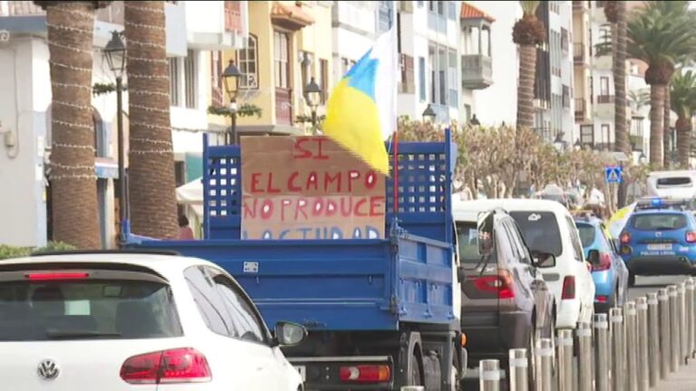 Protesta en La Palma por el precio del plátano