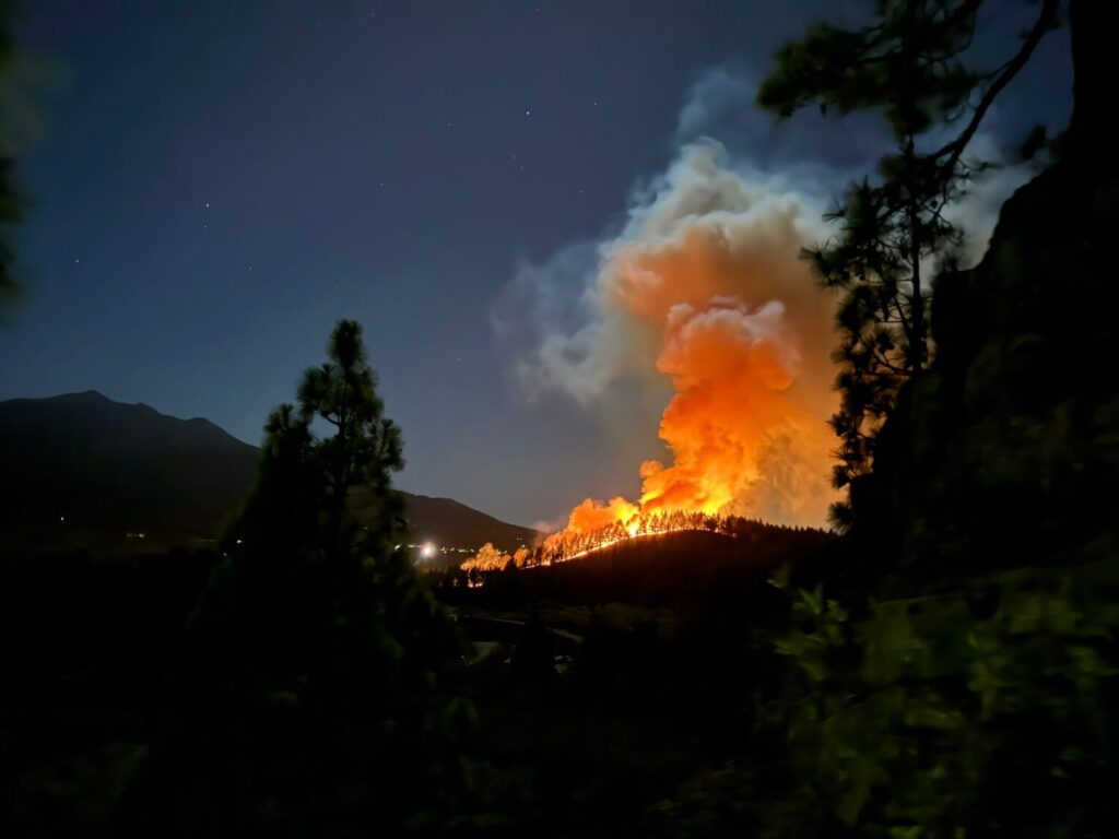 Conato de incendio forestal que se registra en la zona de El Paso en La Palma / Carlo Brusini 