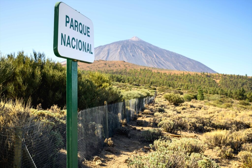 Imagen de archivo del Parque Nacional del Teide