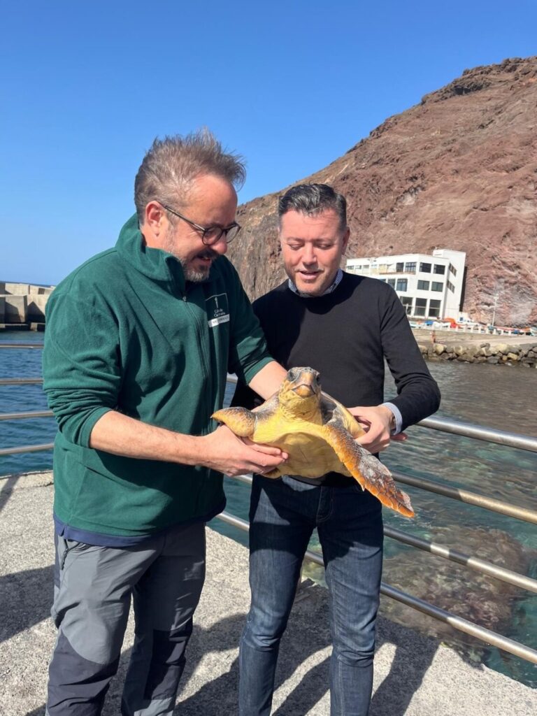 Liberan a dos tortugas en Sardina de Gáldar. El alcalde de Gáldar, Teodoro Sosa (d), en la suelta de una tortuga / CABILDO DE GRAN CANARIA